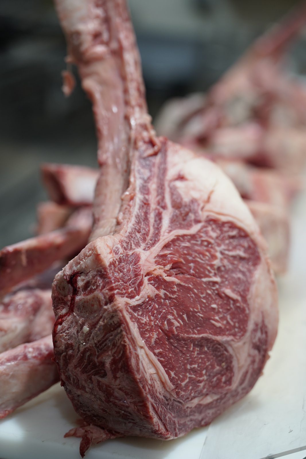 Australie — Chez Bastianin