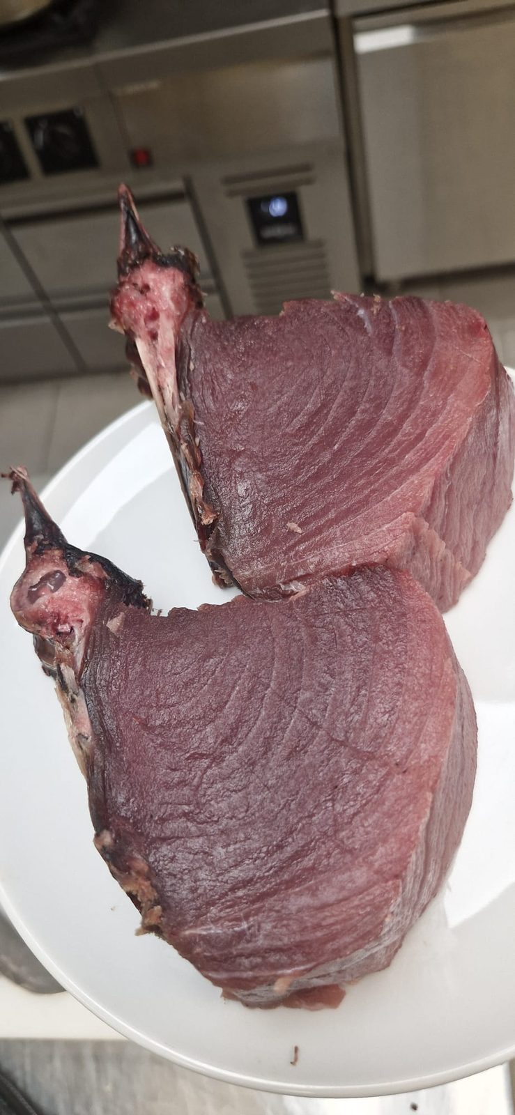 Ikejime bluefin tuna